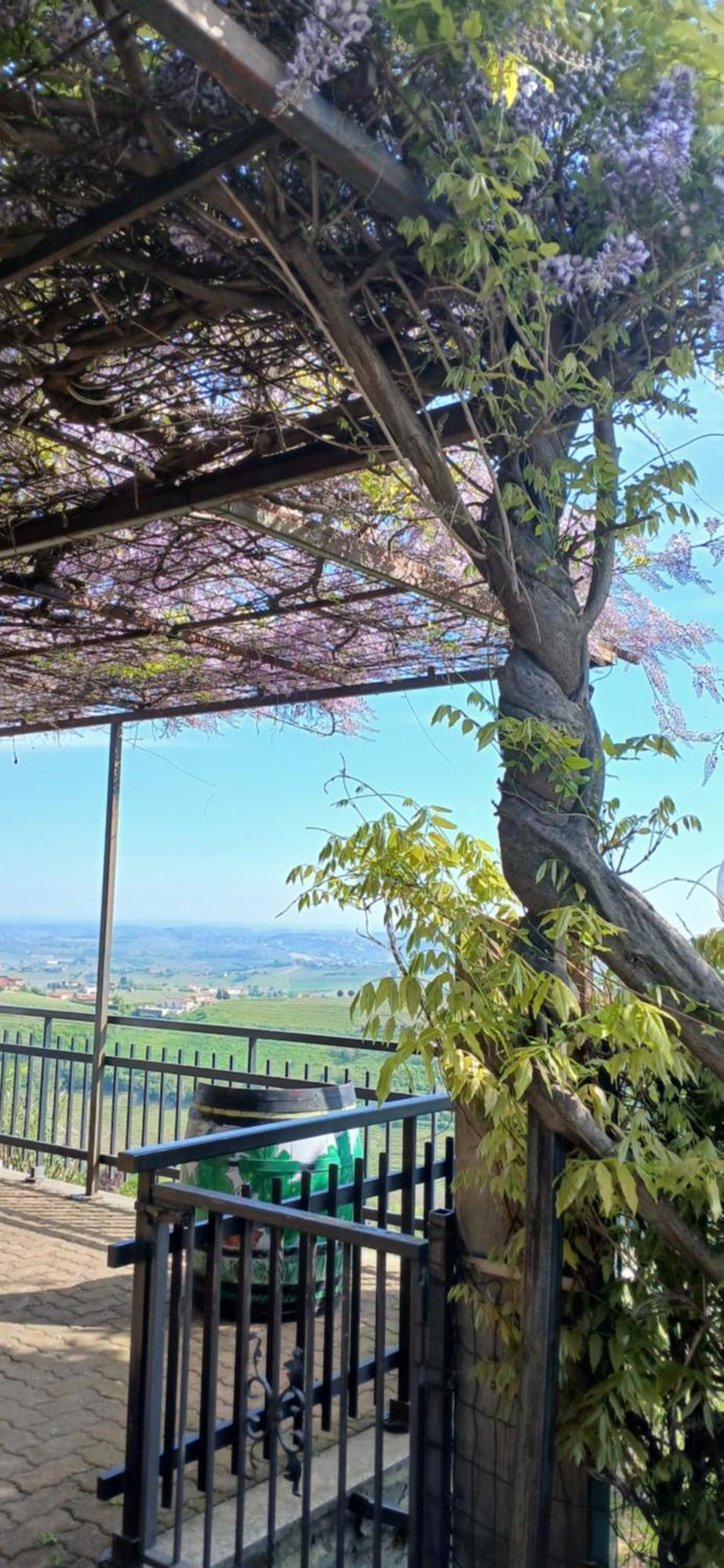Casa Vacanza Il Colle Del Vento Calosso Eksteriør bilde